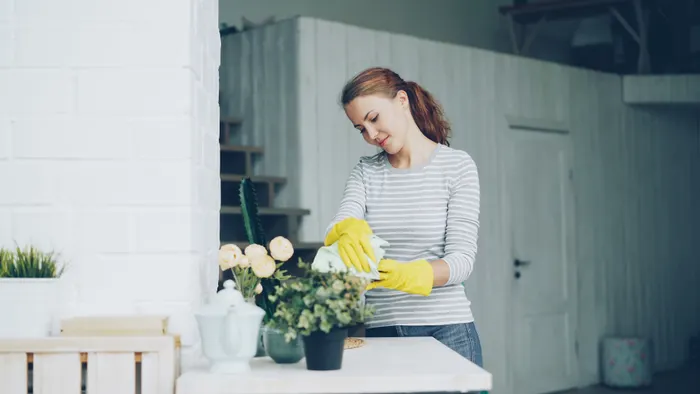 Improving Consistency With Everyday Home Cleaning